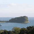 Casta Buena Vista